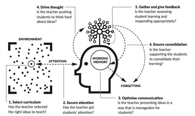 Working Memory Diagram